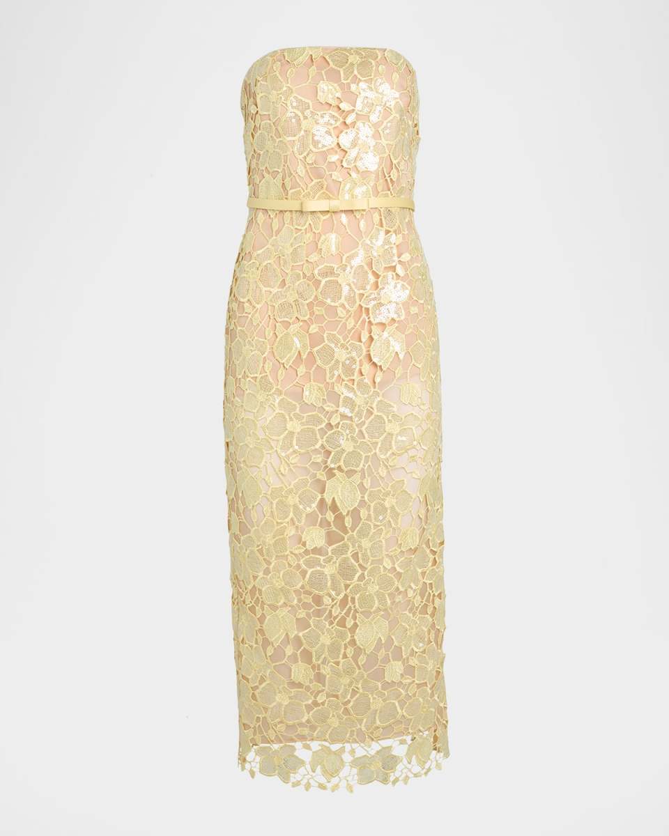Rowen Sequined Lace Midi Dress